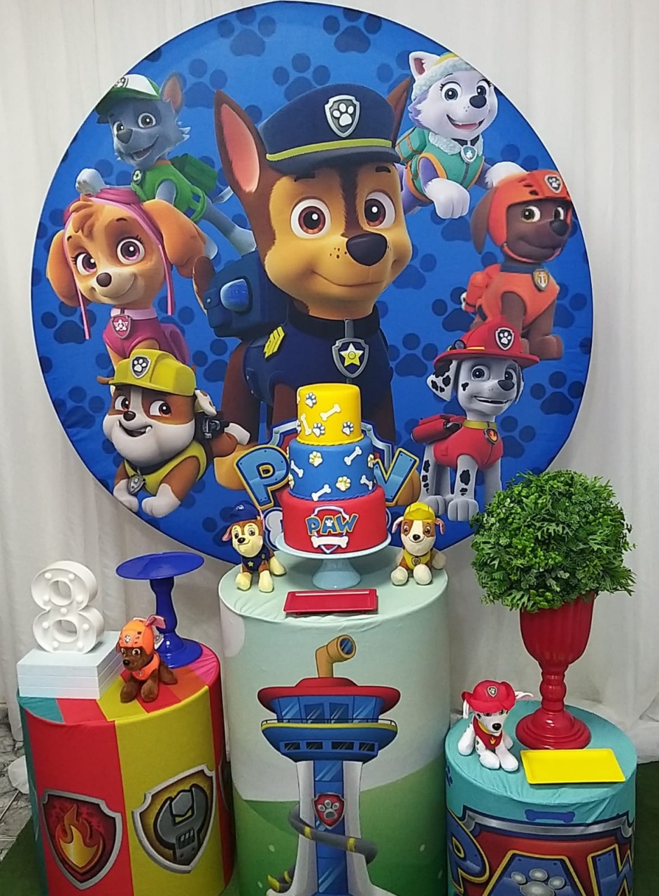 Patrulha Canina Kit Pegue E Monte  Pocket - LIS FESTAS E LOCAÇÕES