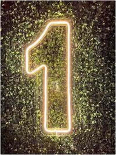 Número 1 de Led 60Cm (Branco Quente) - LIS FESTAS E LOCAÇÕES