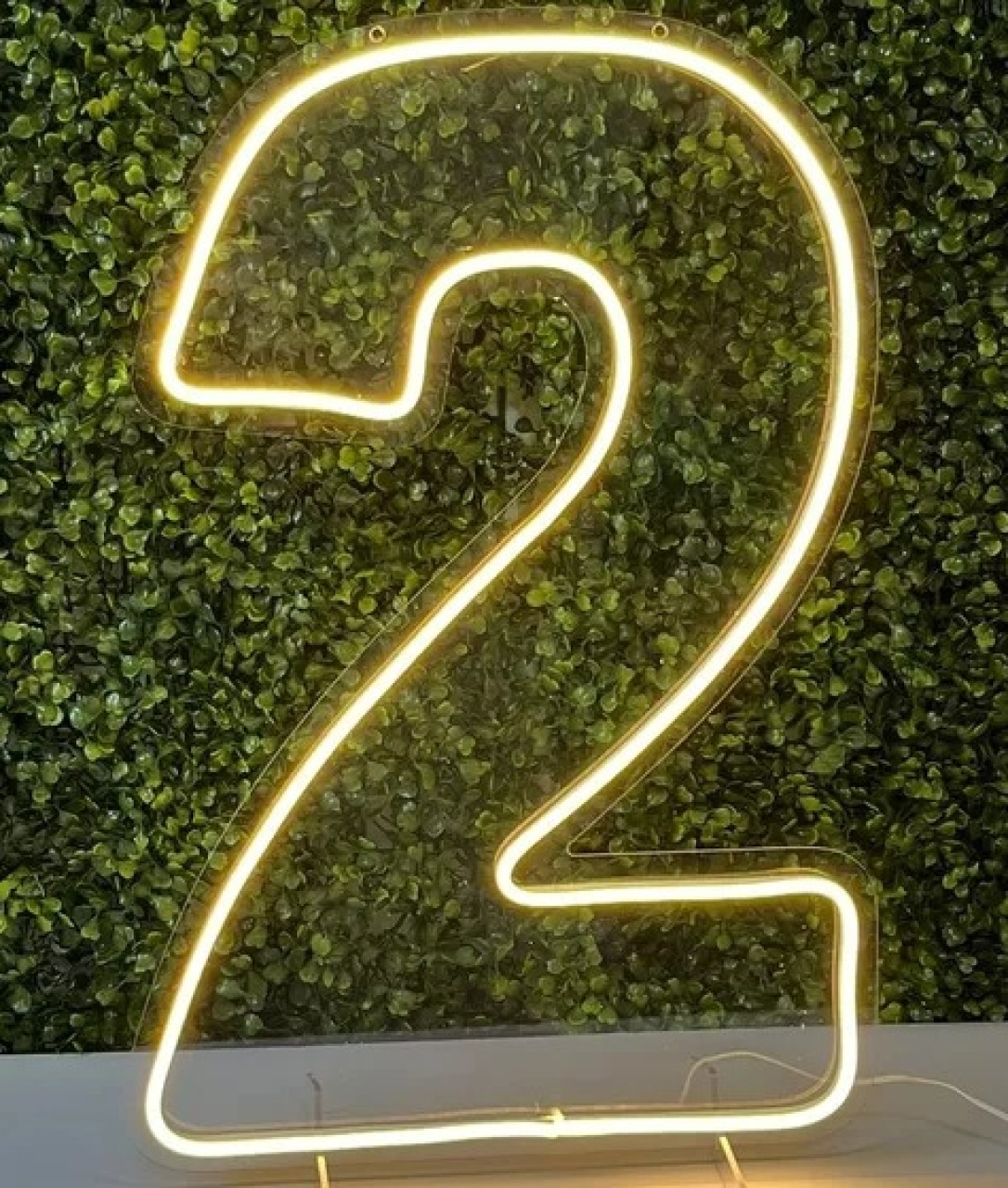 Led N° 2 - adolettalocacoes