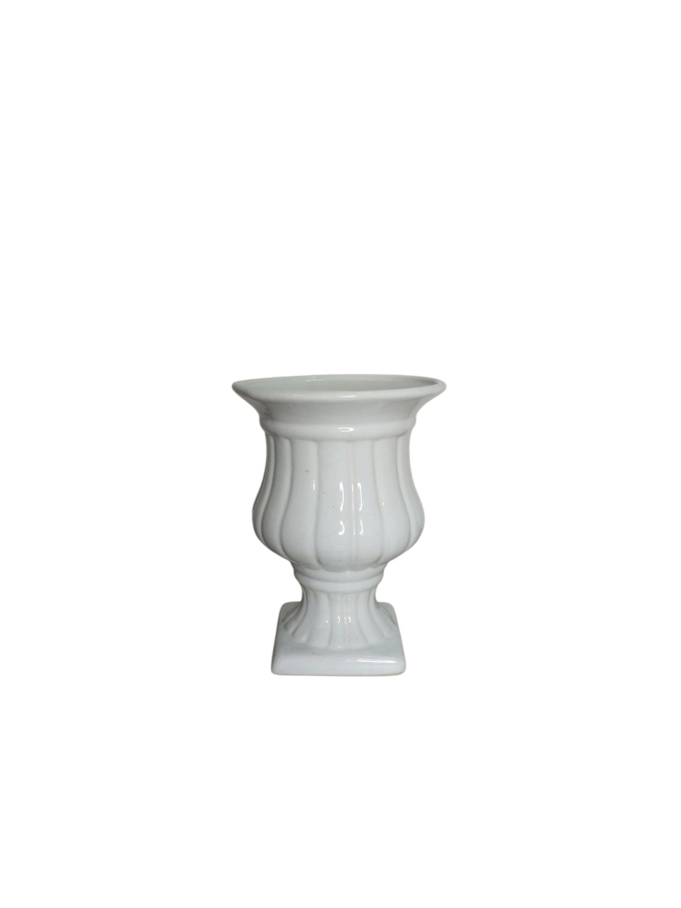 Vaso Realeza Branco  - adolettalocacoes