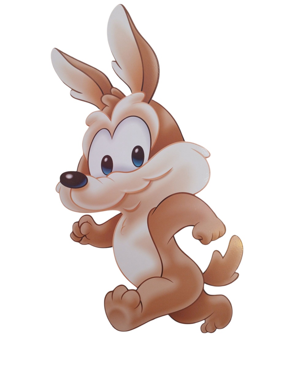 Display Baby Wile  - adolettalocacoes