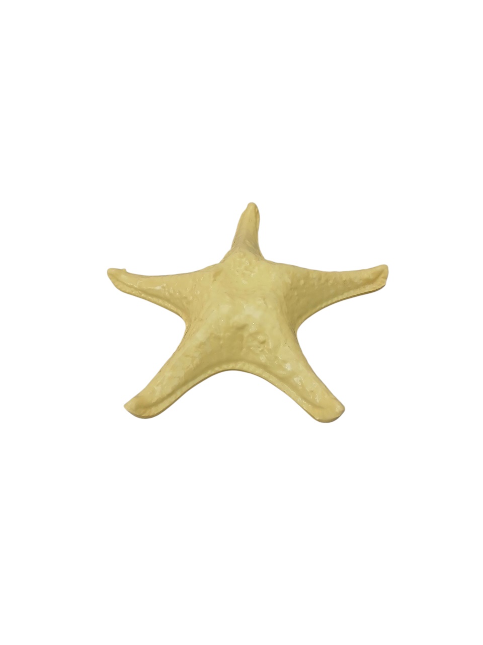 Enfeite de Mesa - Estrela Do Mar Amarelo - adolettalocacoes