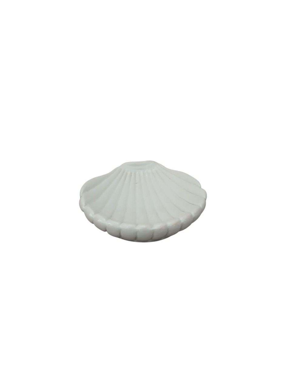 Enfeite de Mesa - Concha Branco  - adolettalocacoes