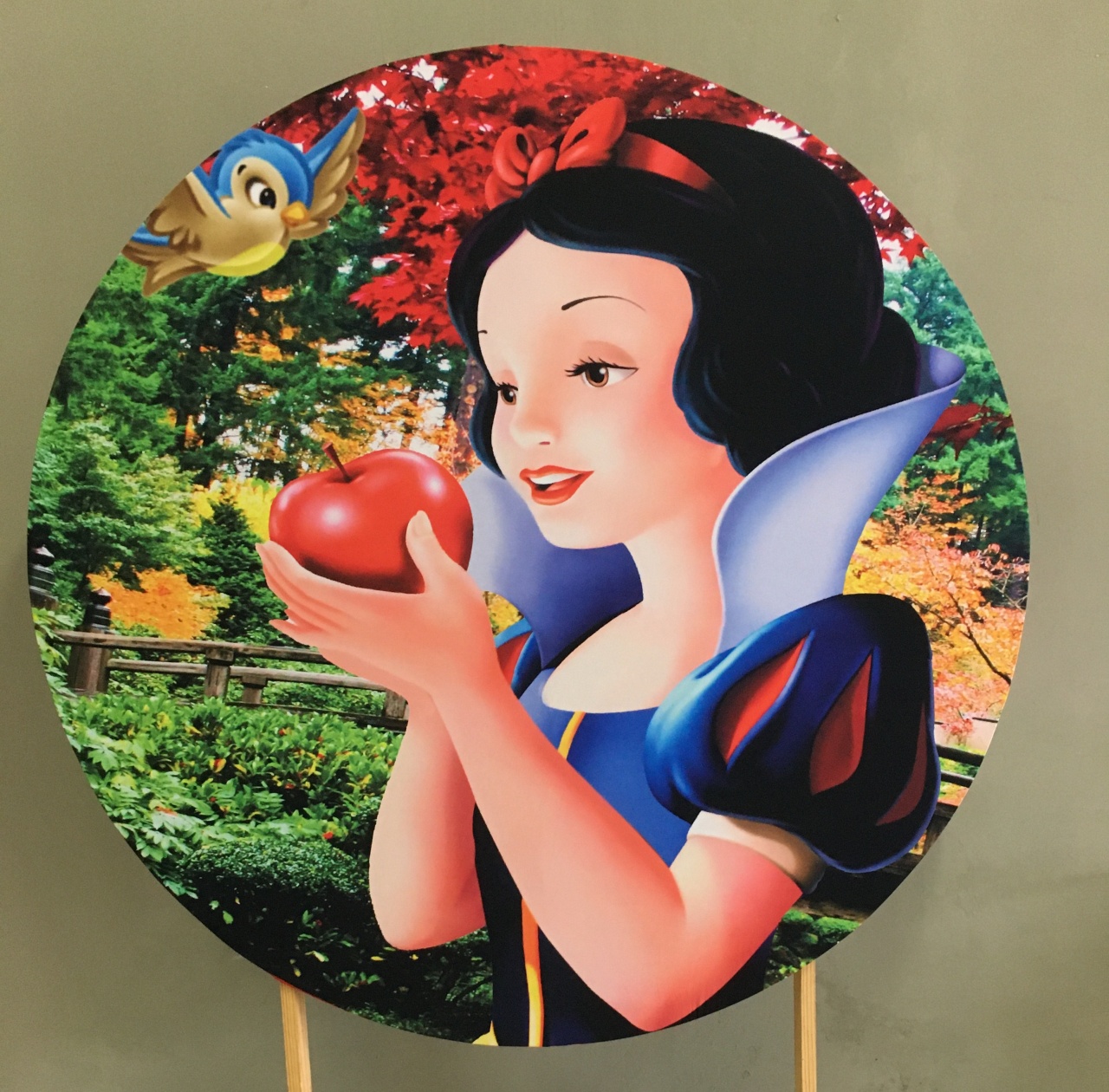 Tecido Sublimado Branca de Neve  - adolettalocacoes