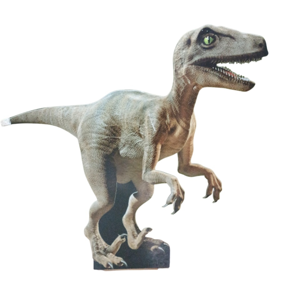 Display Dinossauro- Jurassk Park - adolettalocacoes