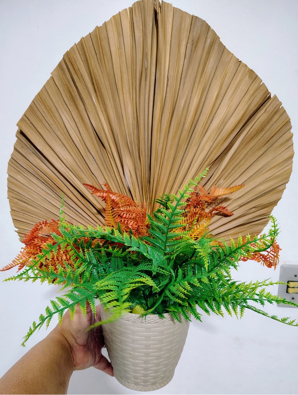 Arranjo Latânia C/ Cachepot  - CARLA CHIESA FESTAS
