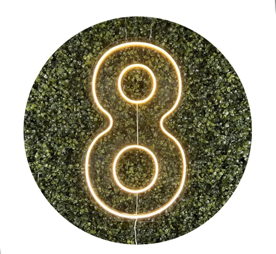 Número 8  Led 50.Cm P/Chão Ou Painel  - CARLA CHIESA FESTAS