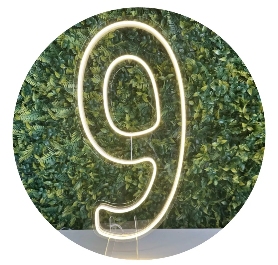 Número 9 - Led Branco Quente 50 Cm  - CARLA CHIESA FESTAS
