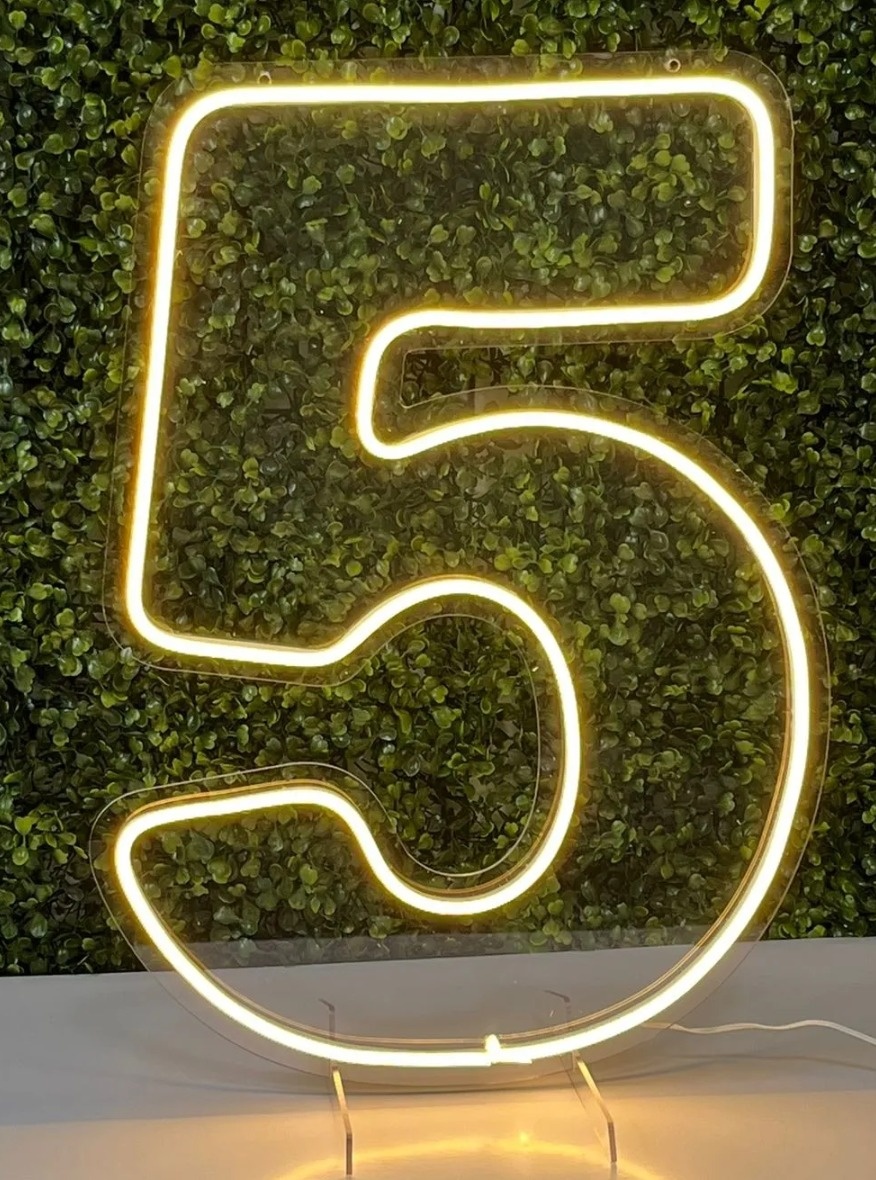 Número 5  Led 50.Cm P/Chão Ou Painel   - CARLA CHIESA FESTAS