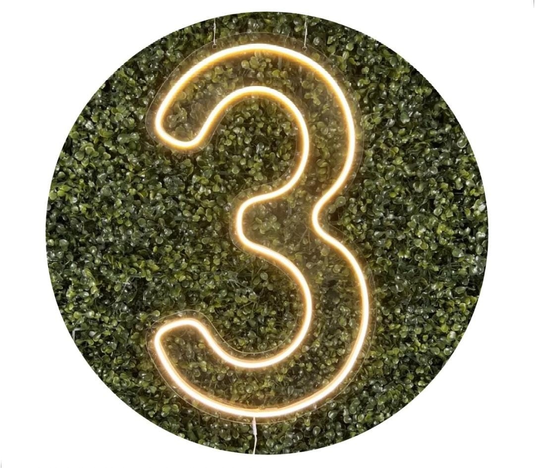 Número 3 - Led Branco Quente 50 Cm - CARLA CHIESA FESTAS