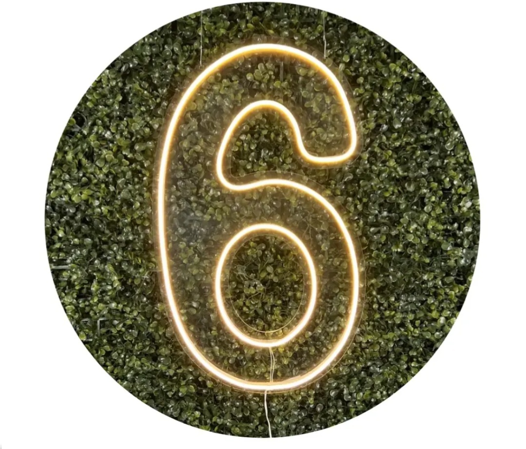 Número 6 Led 50.Cm P/Chão Ou Painel - CARLA CHIESA FESTAS