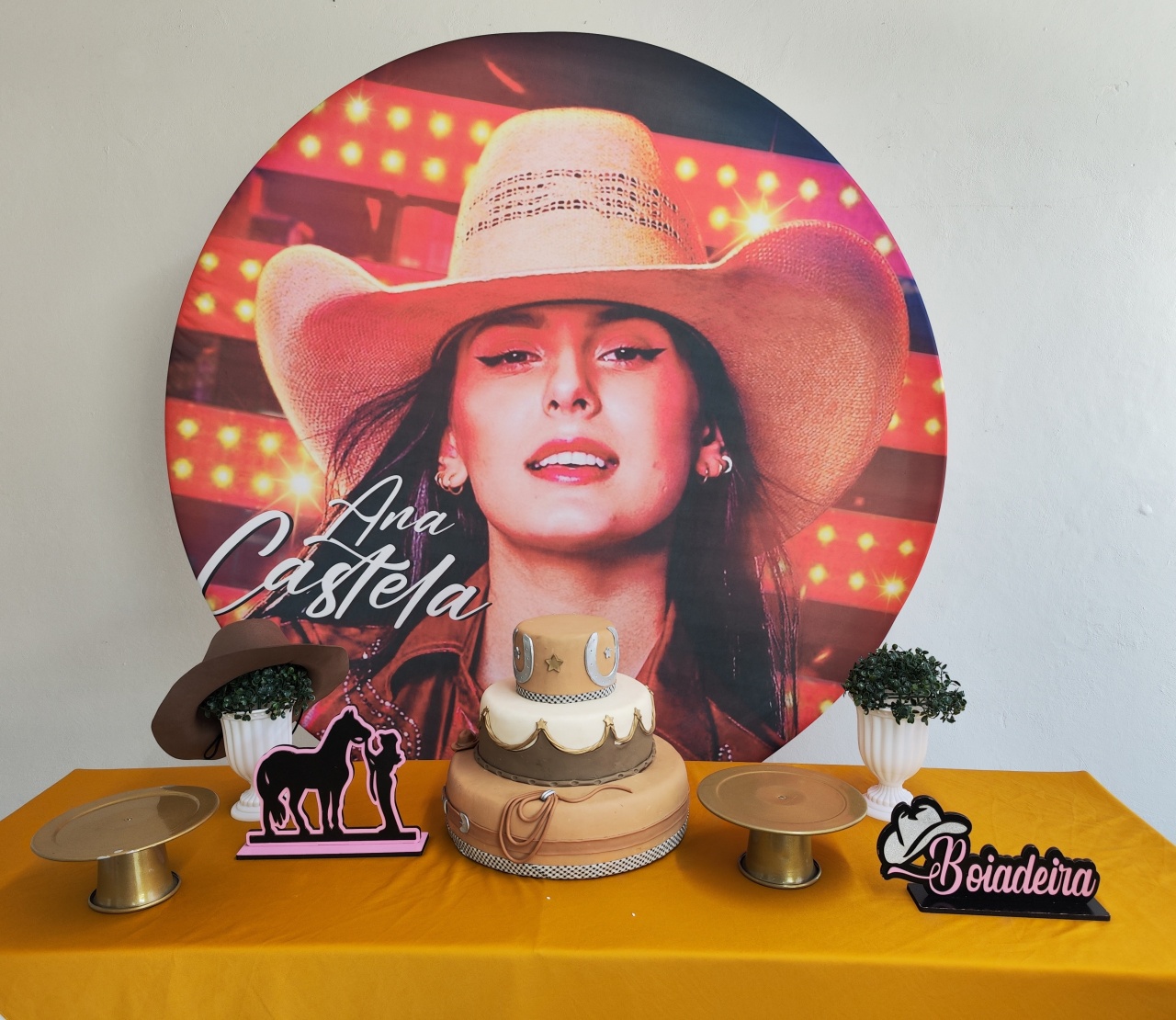 Kit Ana Castela Opçao 1 - Elisete Festas Kit Pegue e Monte