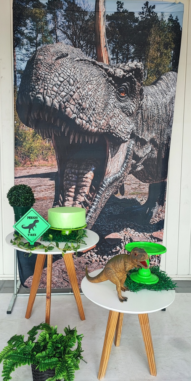 Kit Dinossauro Casadinho Mod 3/ Kit Festa - Elisete Festas Kit Pegue e Monte