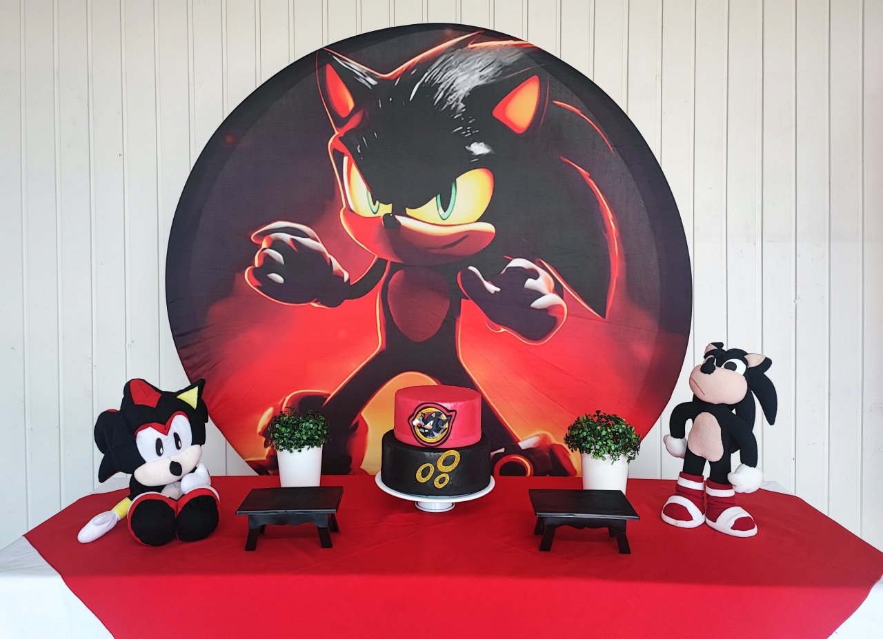 Kit Sonic Shadow - Opção 1  - Elisete Festas Kit Pegue e Monte