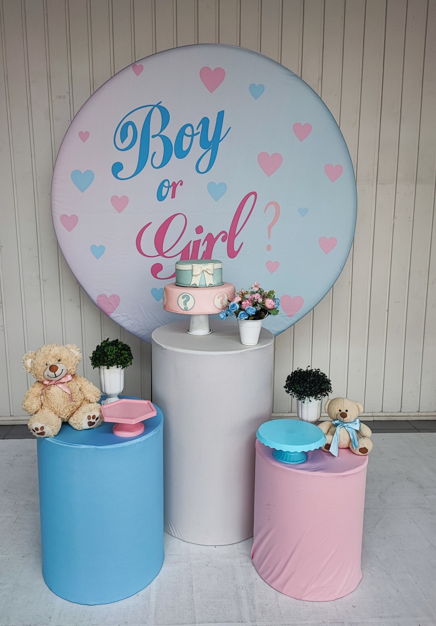 Kit Chá de Revelação ( Boy E Girl) Opçao 2 - Elisete Festas Kit Pegue e Monte