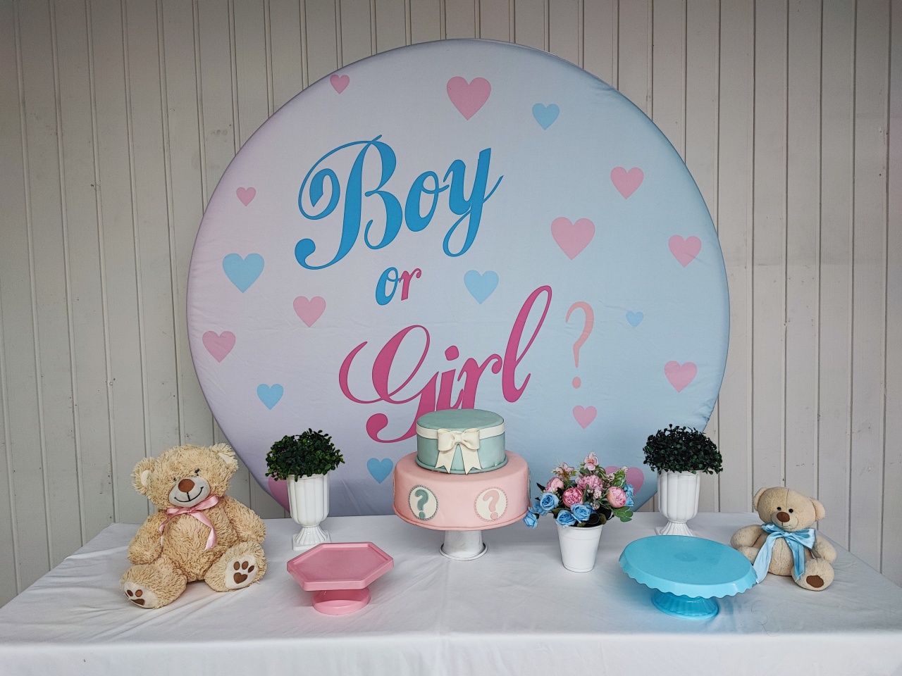 Kit Chá de Revelação ( Boy E Girl) Opçao 1 - Elisete Festas Kit Pegue e Monte