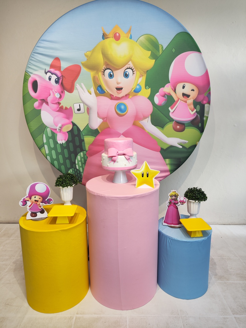Kit Princesa Do Super Mario Opção 2 - Elisete Festas Kit Pegue e Monte