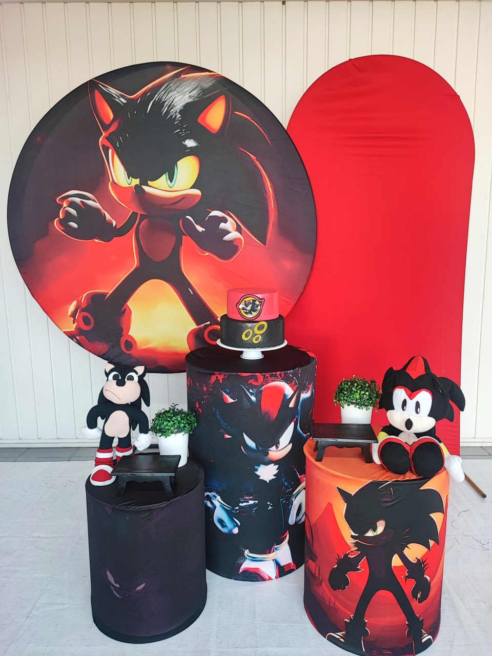 Kit  Sonic Shadow Opção Plus  - Elisete Festas Kit Pegue e Monte