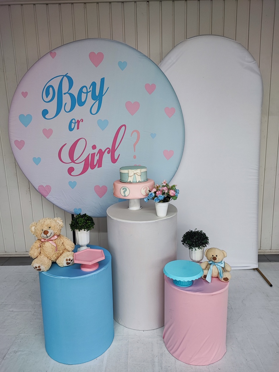 Kit Chá Revelação Boy E Girl Opção Plus  - Elisete Festas Kit Pegue e Monte
