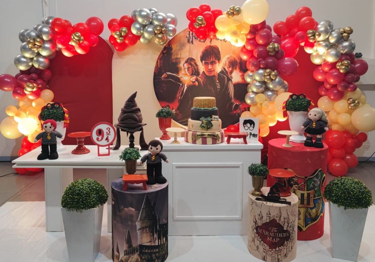 Montagem Harry Potter  - Elisete Festas Kit Pegue e Monte