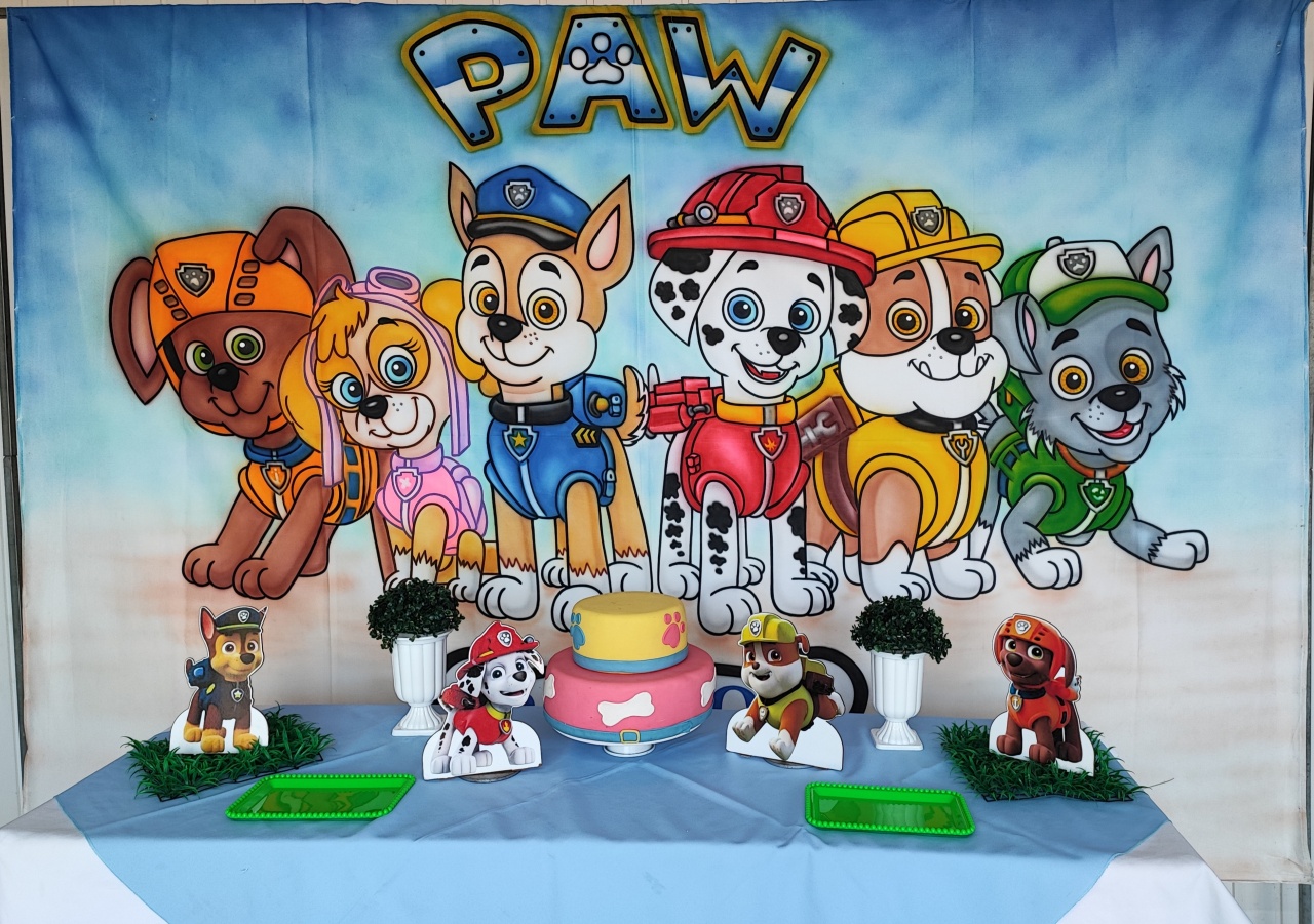 Kit Retangular Patrulha Canina  - Elisete Festas Kit Pegue e Monte