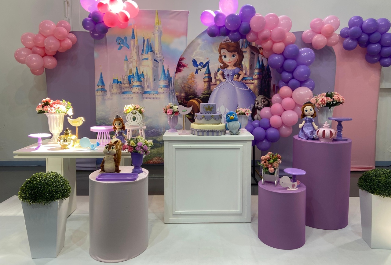 Montagem Princesa Sofia - Elisete Festas Kit Pegue e Monte