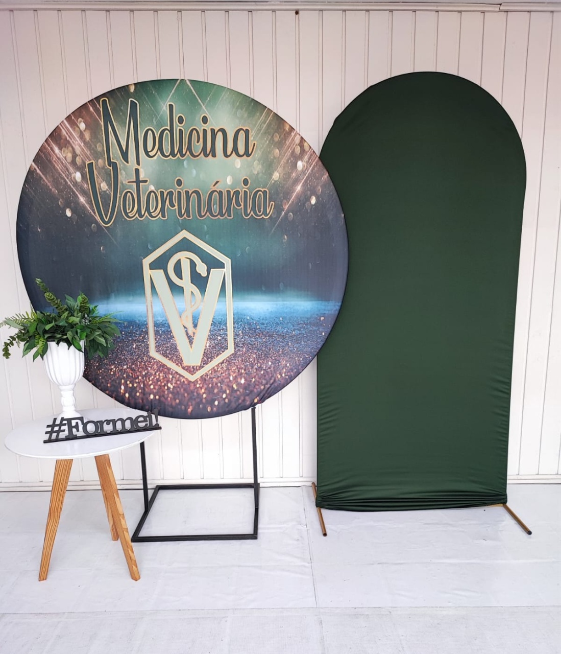 Kit Medicina Veterinária  - Elisete Festas Kit Pegue e Monte