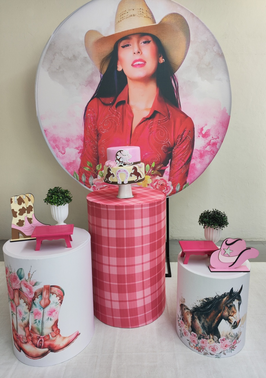 Kit Ana Castela (Rosa) Opçao 2 - Elisete Festas Kit Pegue e Monte