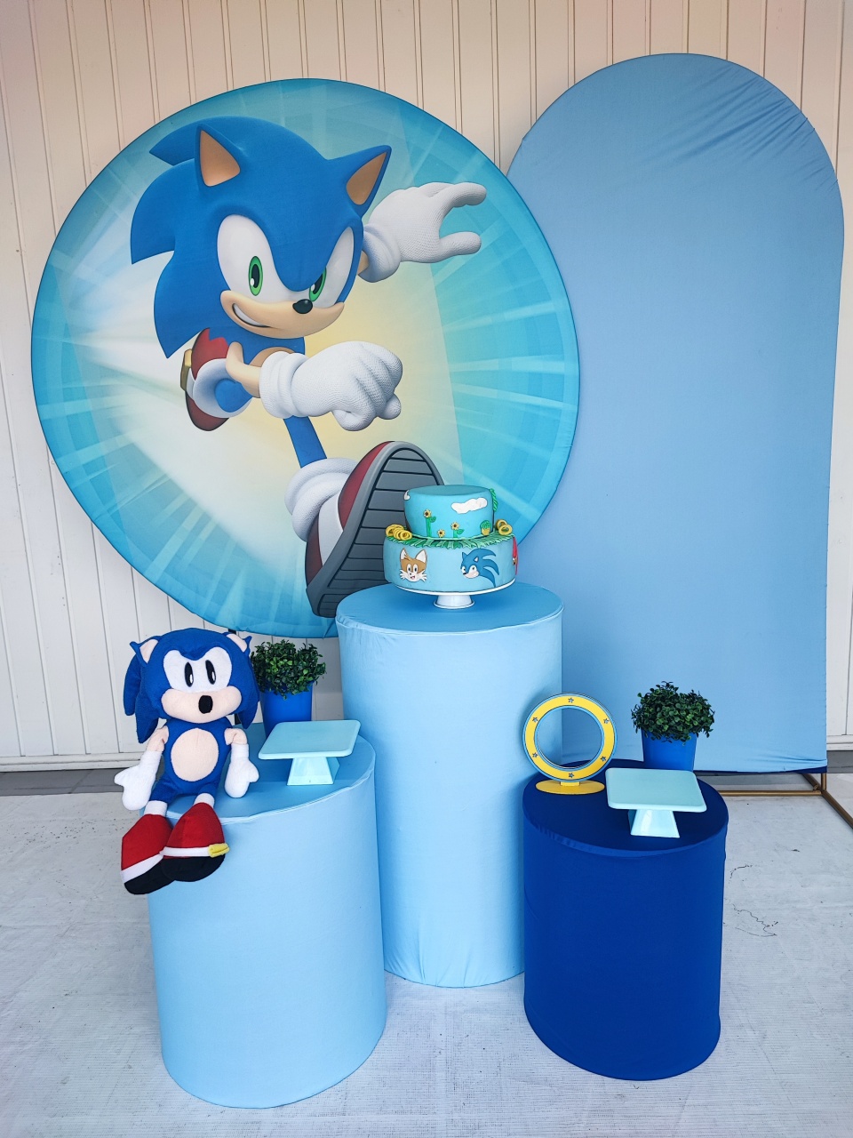 Kit Sonic Infantil Opçao Plus - Elisete Festas Kit Pegue e Monte