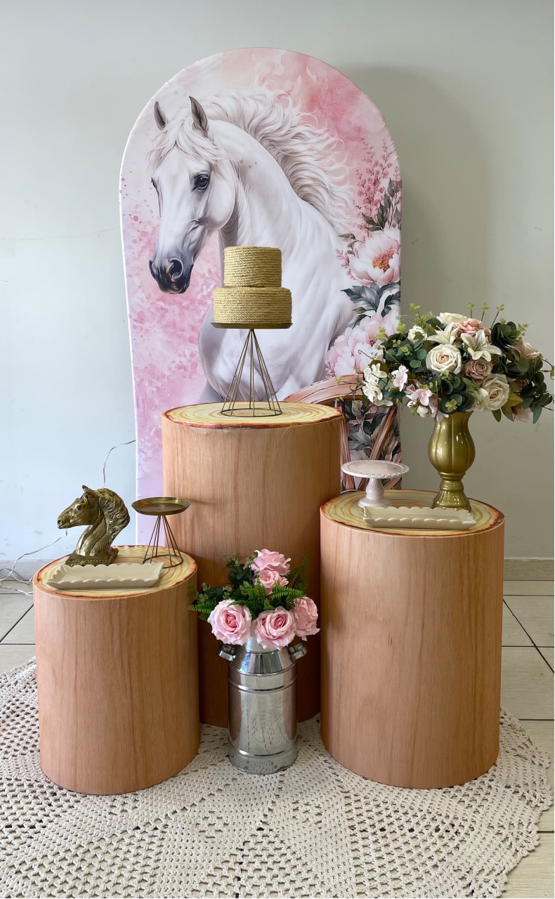 Kit Country Feminino Cavalo - Cantinho Da Alegria Festas
