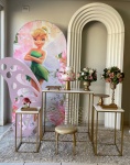 Locação Tinker Bell - imagem 2