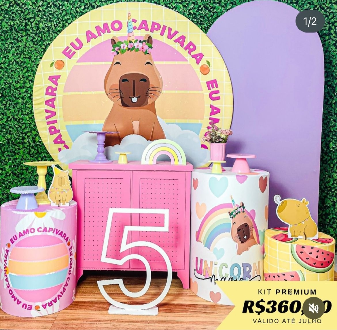 Capivara - Premium  - Realize Sonhos 