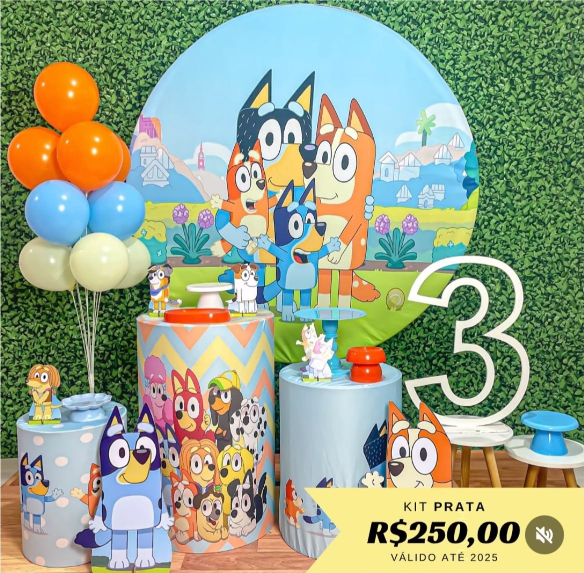 Bluey - Prata. - Realize Sonhos 