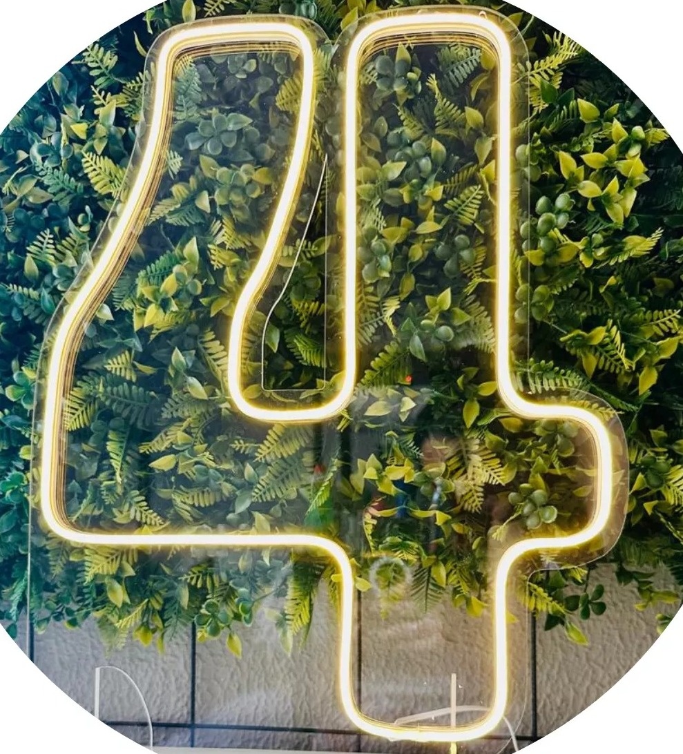 Numero  4 de Led       - PEGUE E MONTE DA DRYCA 