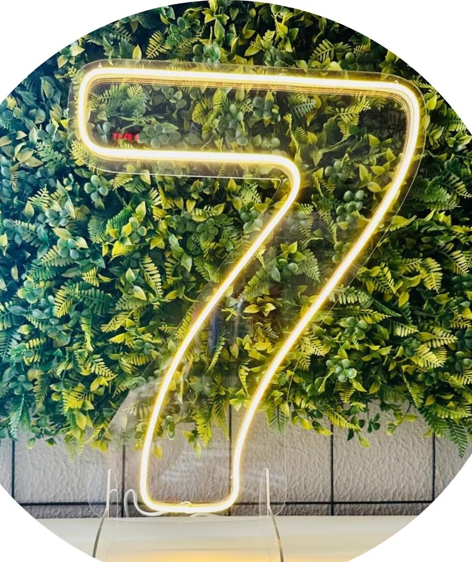 Numero 7 de Led     - PEGUE E MONTE DA DRYCA 