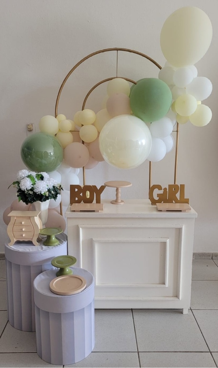 Cha de Bebe  Luxo - Composição  - PEGUE E MONTE DA DRYCA 