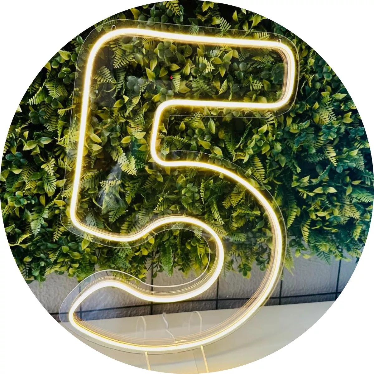 Numero  5 de Led    - PEGUE E MONTE DA DRYCA 