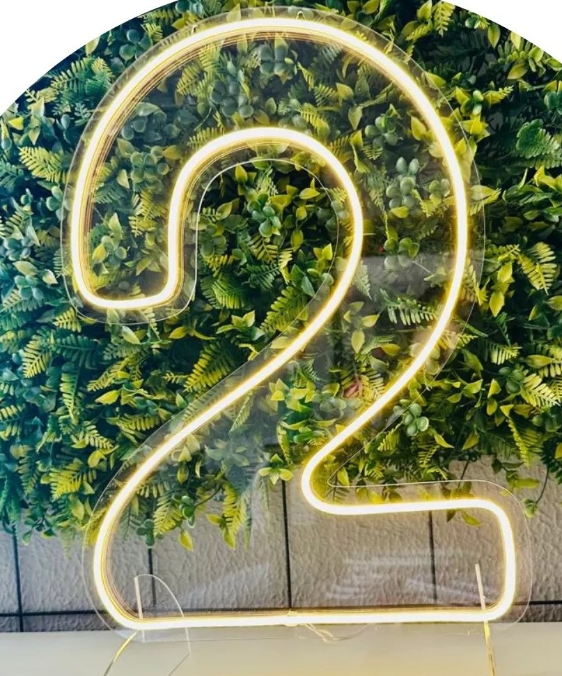 Numero 2  de Led     - PEGUE E MONTE DA DRYCA 