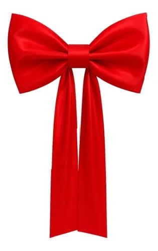 Laço de Cetim Vermelho - Kasari Variedades