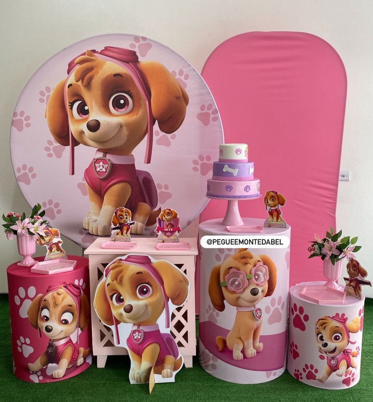 Tema Skye Kit 4  - PEGUEEMONTEDABEL