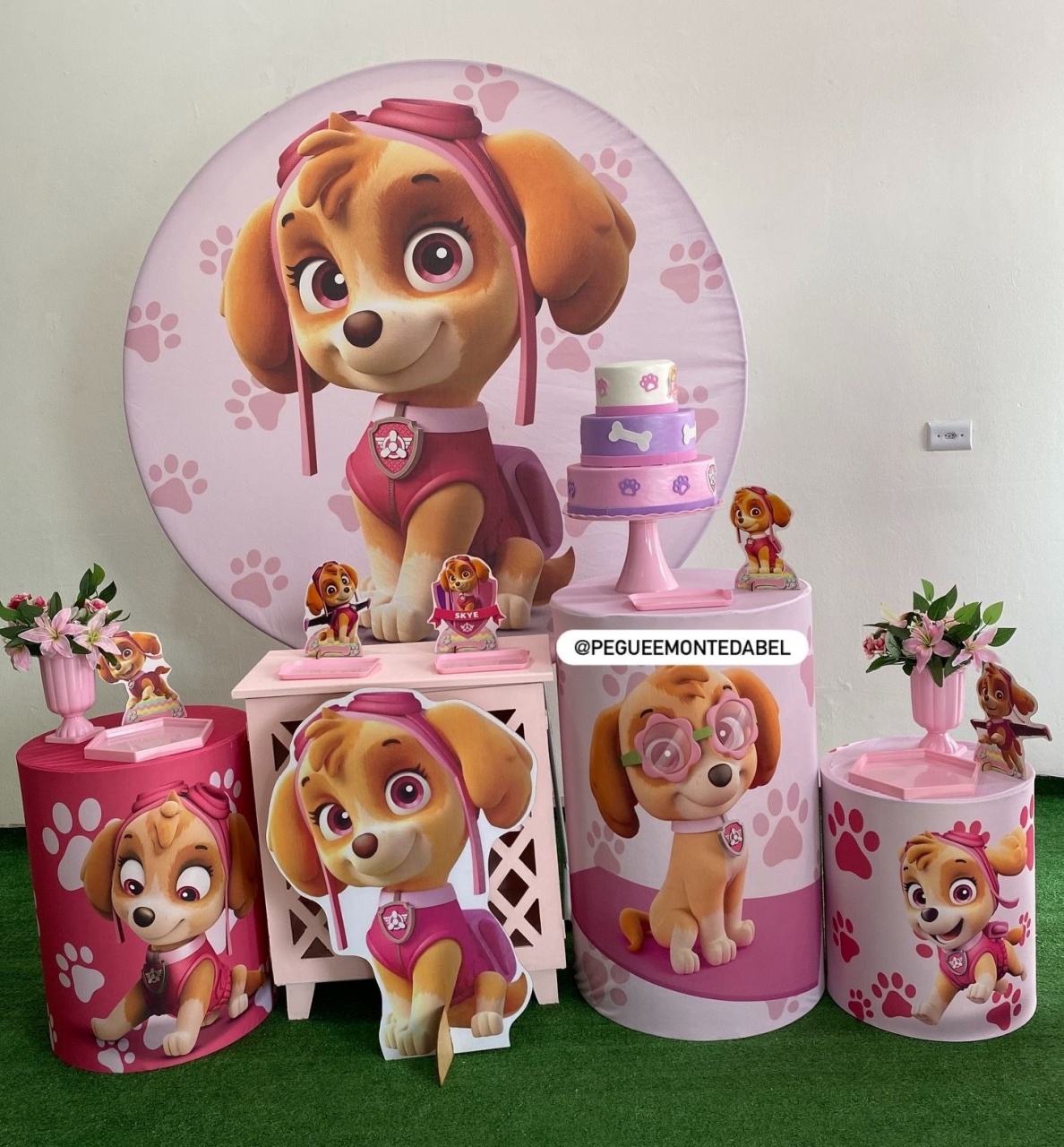 Tema Skye Kit 3  - PEGUEEMONTEDABEL