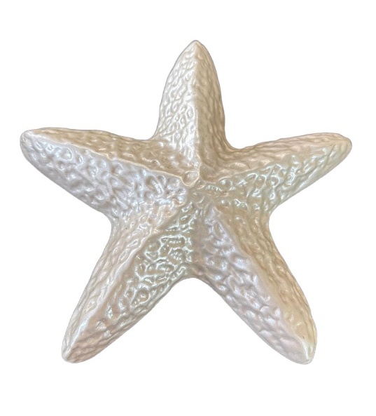 Estrela Do Mar Branca - maya.locacoes