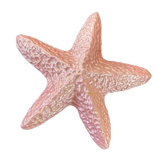 Estrela Do Mar Rosa - maya.locacoes