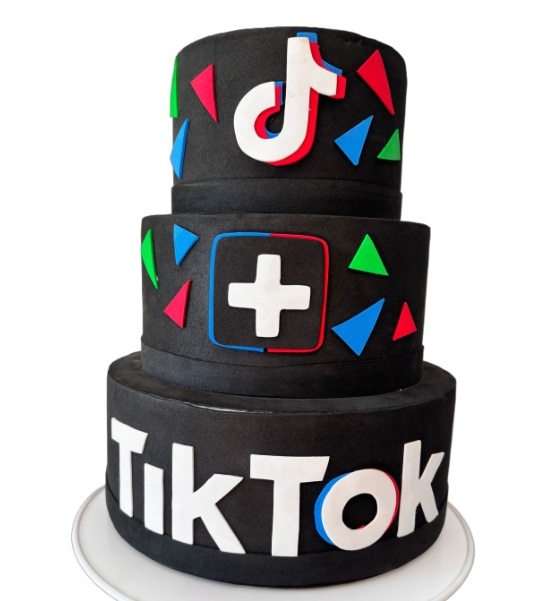 Bolo Fake Tiktok - Bolo Fake - maya.locacoes