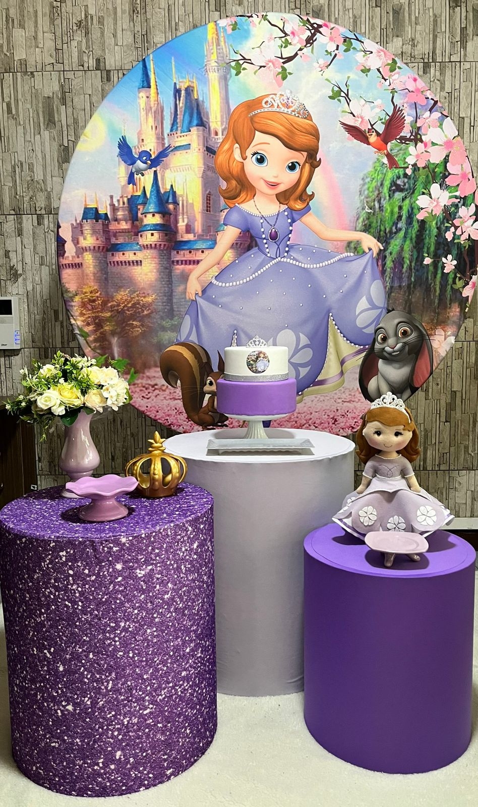 Kit Pegue E Monte Princesa Sofia - maya.locacoes