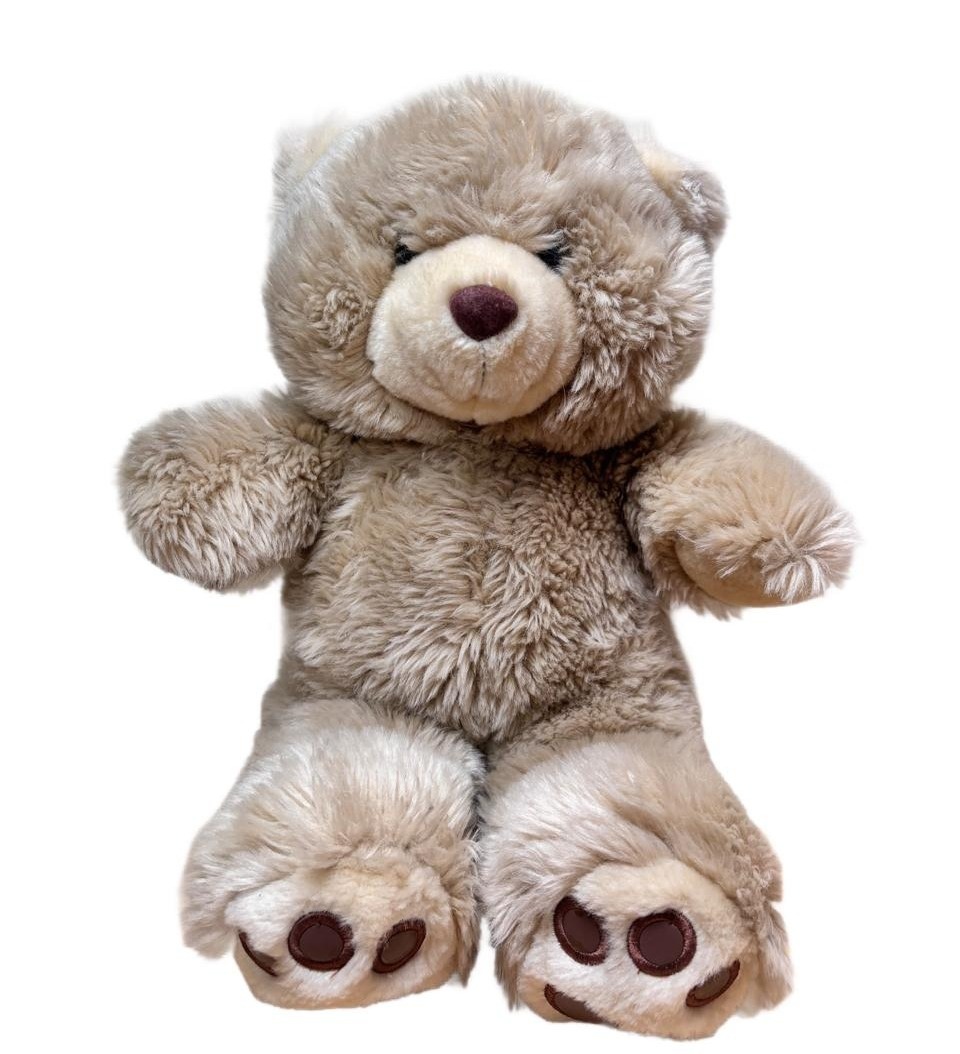 Urso Em Pelúcia - maya.locacoes