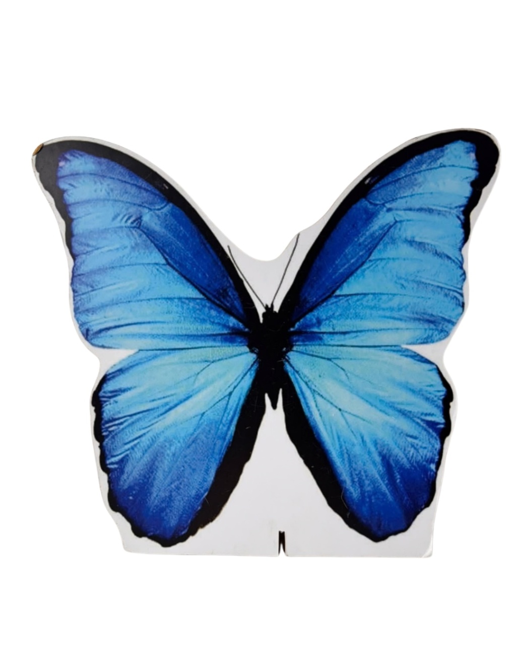 Display de Mesa Borboleta - maya.locacoes