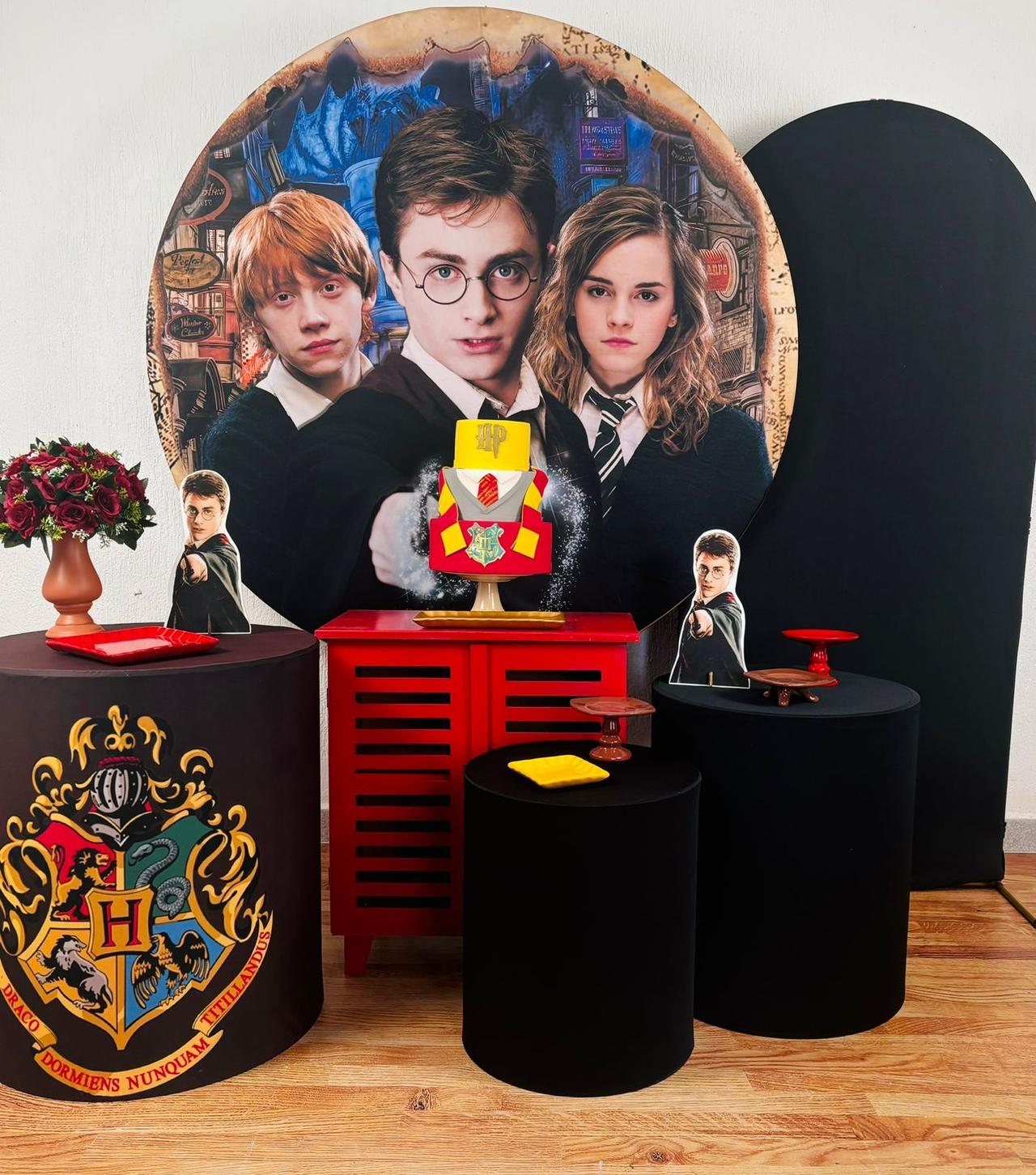 Kit Pegue E Monte Harry Potter (Diamante) - maya.locacoes
