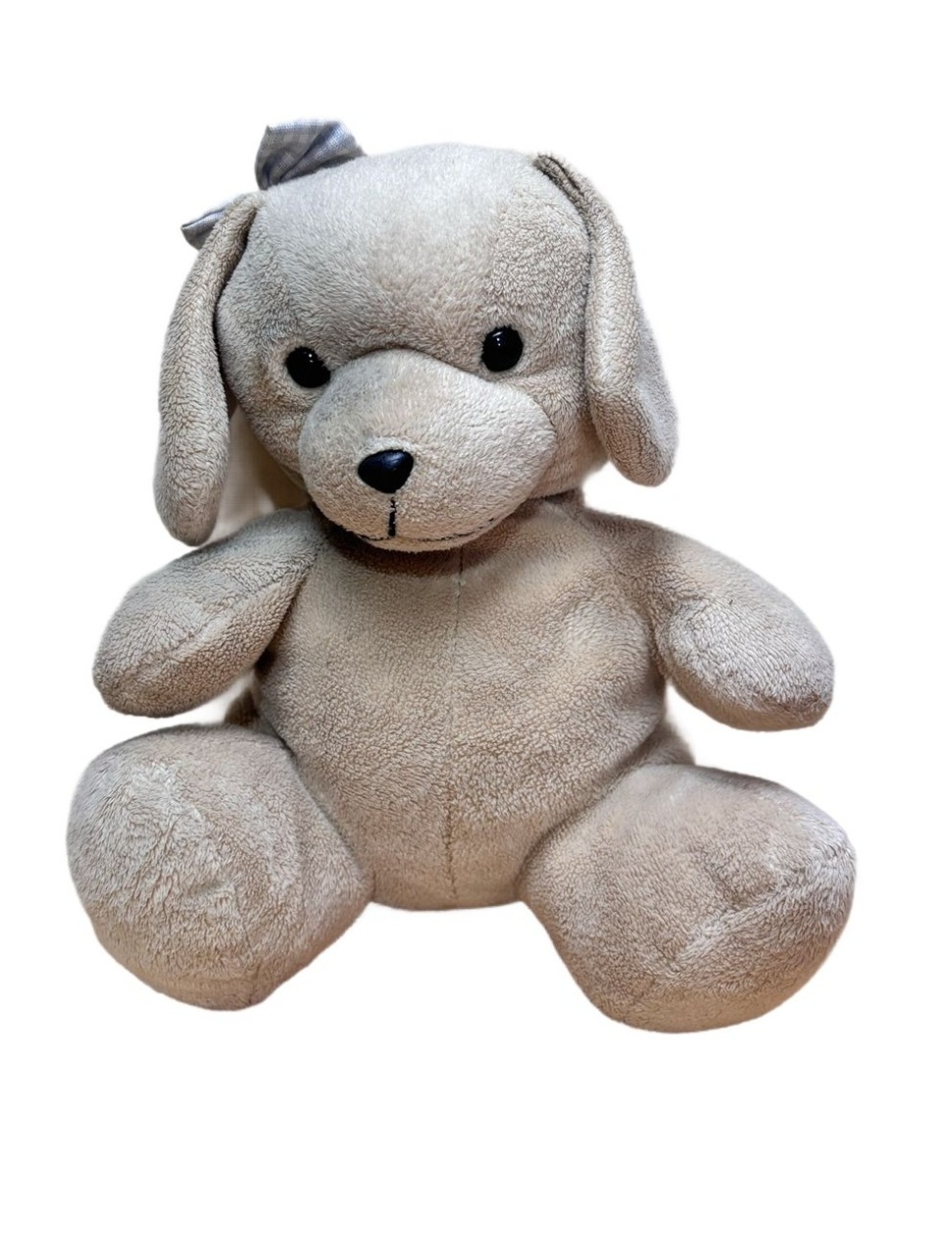 Cachorro - maya.locacoes