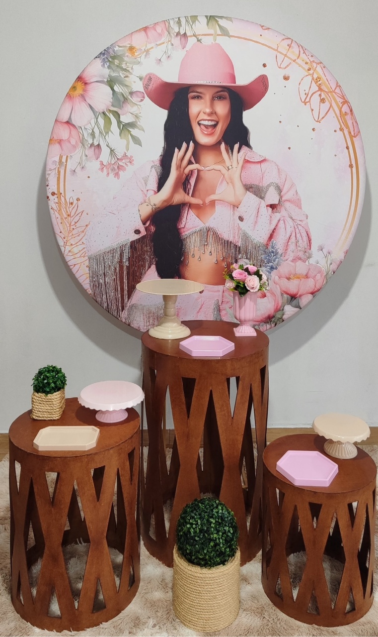 Ana Castela Rosa - Gi Festas  Pegue e Monte